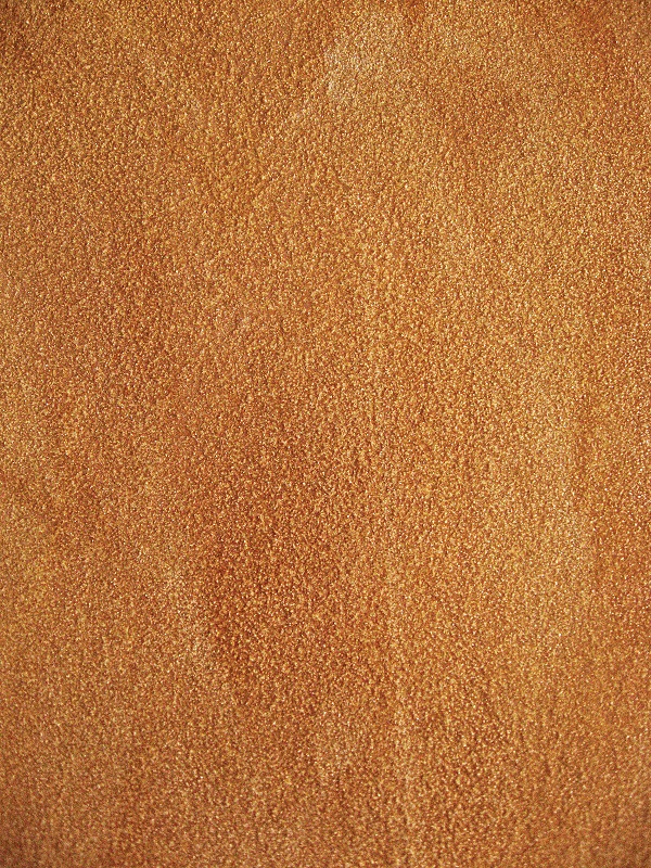 Honey Gloss - Polished